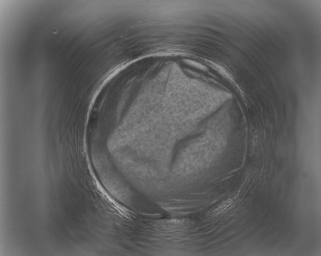 X0000053010943200507221309