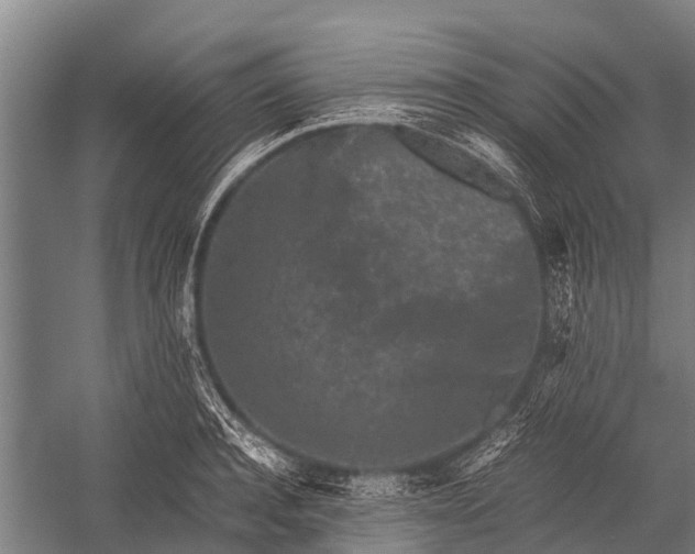 X0000053010944200507221309