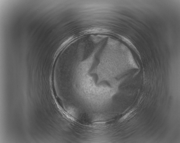 X0000053010946200507221310