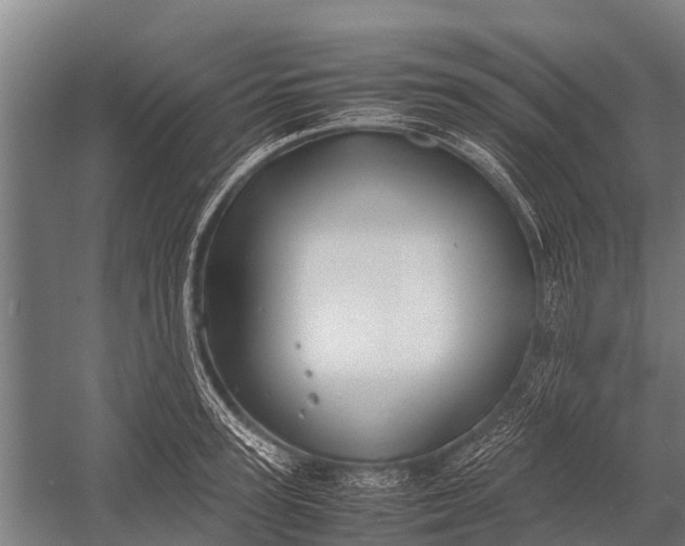 X0000053010947200507221310