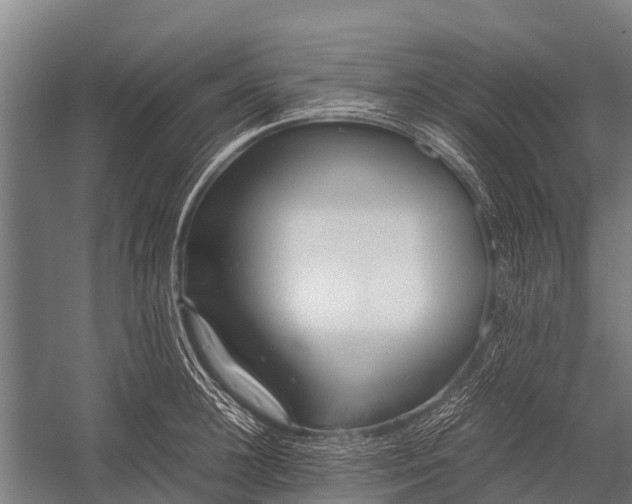 X0000053010948200507221310