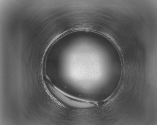 X0000053010949200507221310