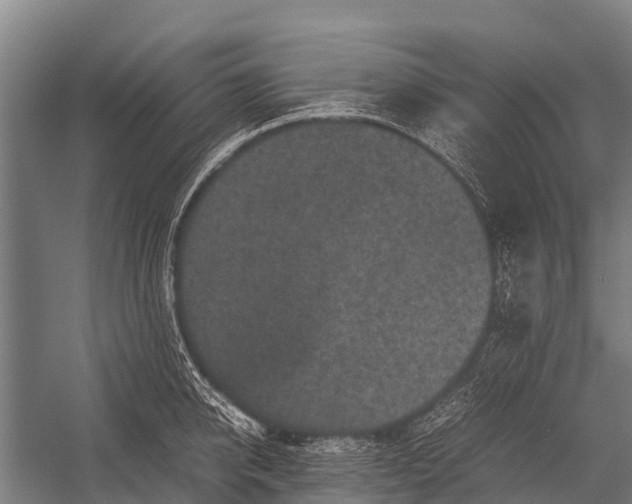 X0000053010950200507221310