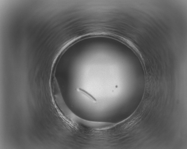 X0000053010951200507221310