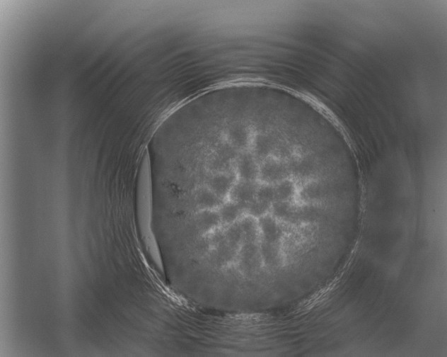 X0000053010953200507221310