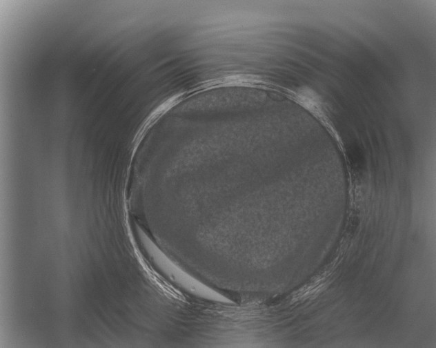 X0000053010954200507221310