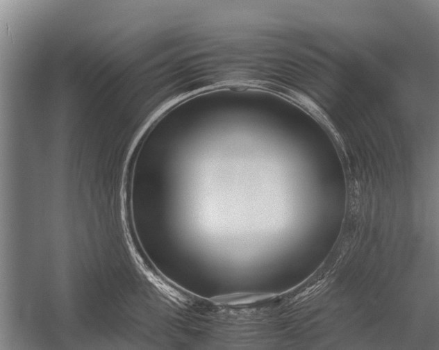 X0000053010955200507221310