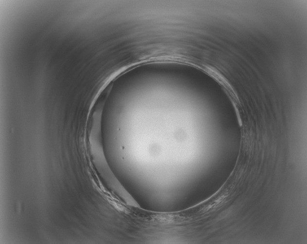 X0000053010956200507221310