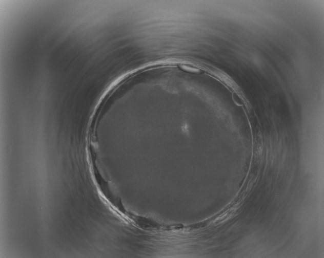 X0000053010958200507221310