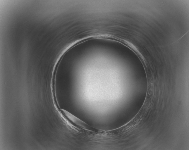 X0000053010959200507221310