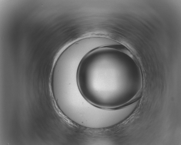 X0000053010960200507221310