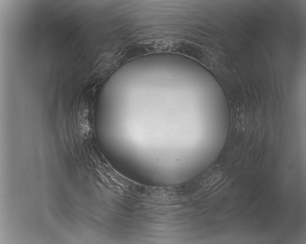 X0000053010962200507221309