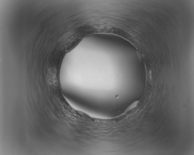 X0000053010963200507221309