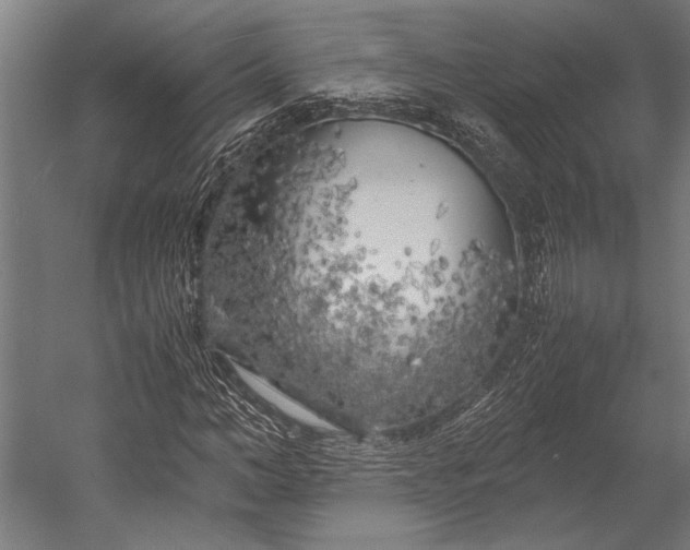 X0000053010966200507221309