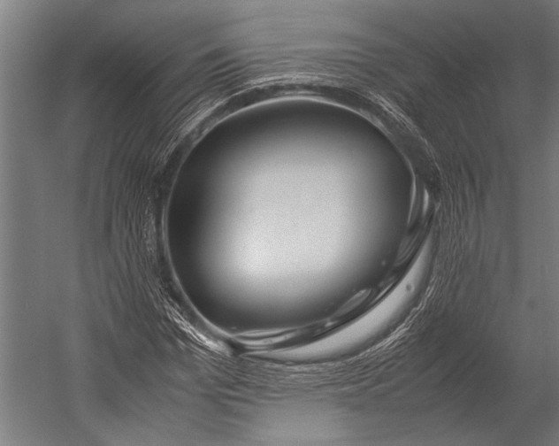 X0000053010969200507221309