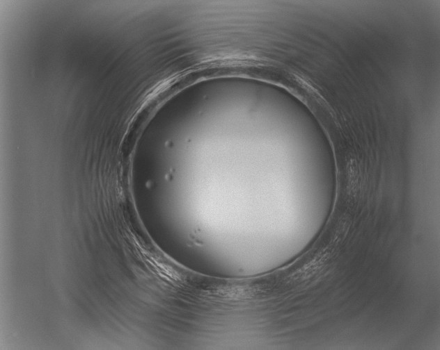 X0000053010970200507221309