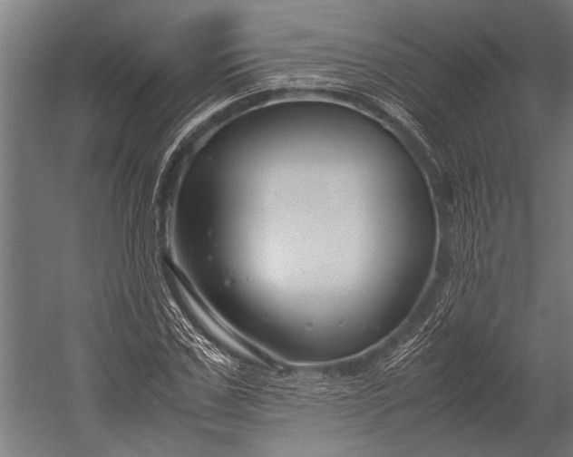 X0000053010971200507221309