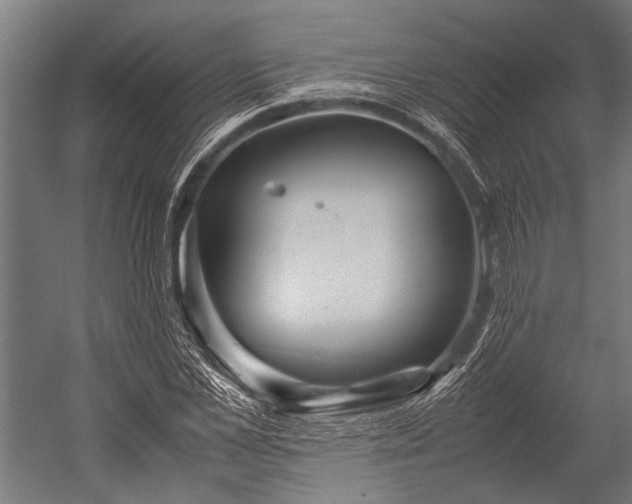 X0000053010973200507221309