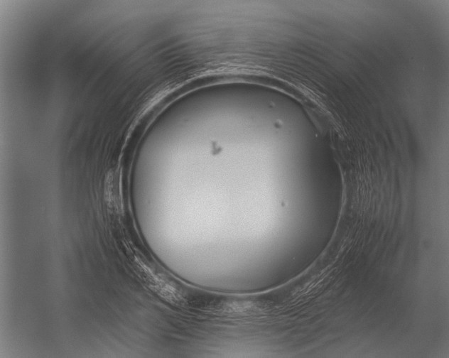 X0000053010982200507221309