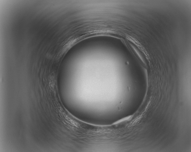 X0000053010985200507221309