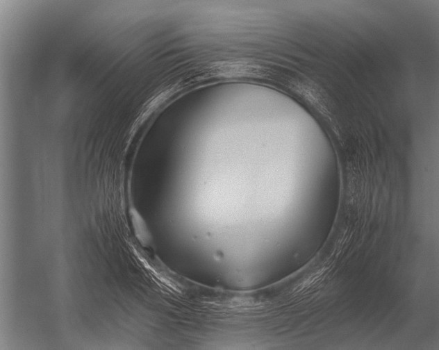 X0000053010986200507221309