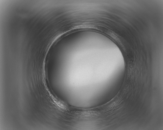 X0000053010988200507221308