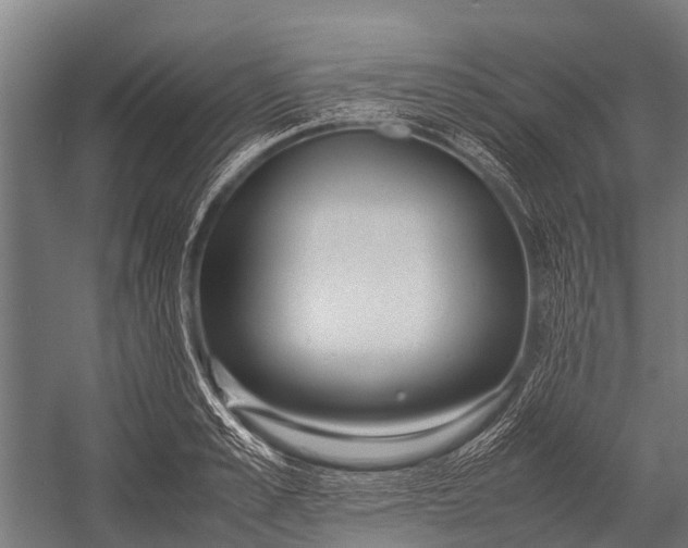 X0000053010989200507221308