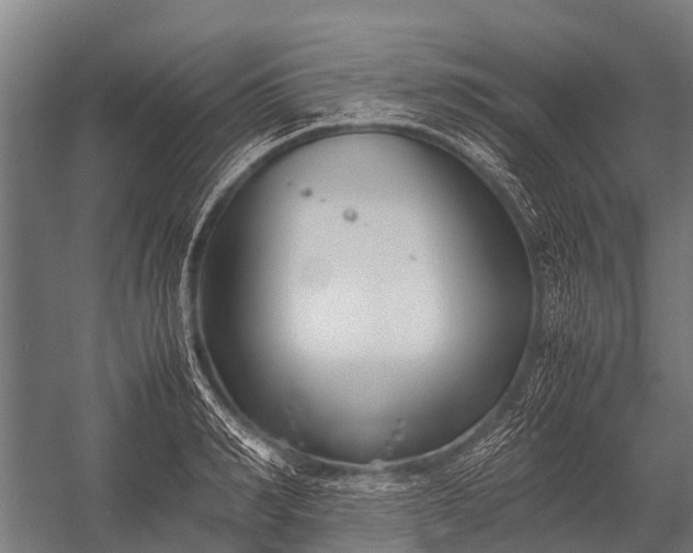 X0000053010990200507221308