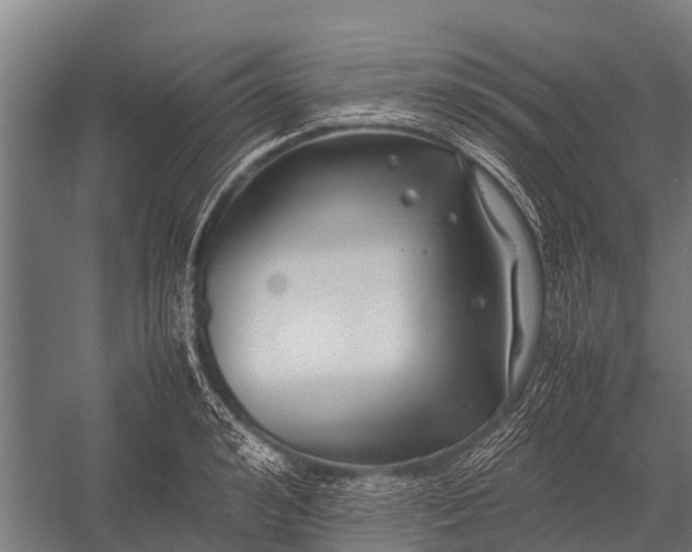 X0000053010992200507221308