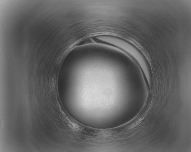 X0000053010993200507221308