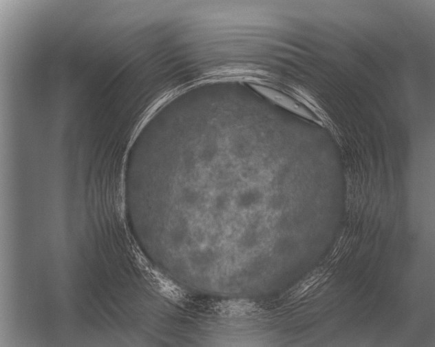 X0000053010994200507221308