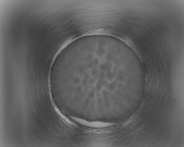 X0000053010998200507221308