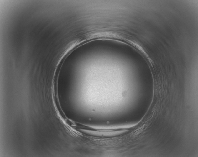 X0000053010999200507221308