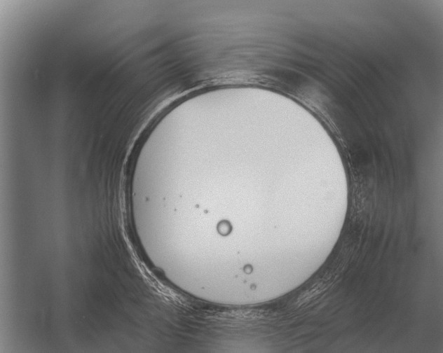 X0000053011000200507221308