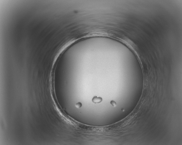 X0000053011003200507221308