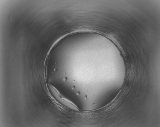 X0000053011004200507221308