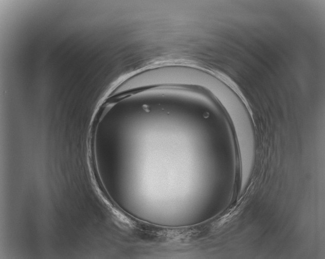 X0000053011005200507221308