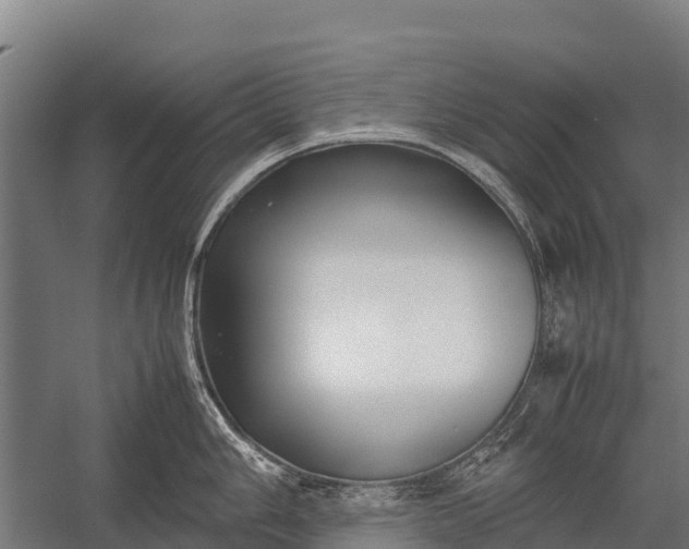 X0000053011006200507221308