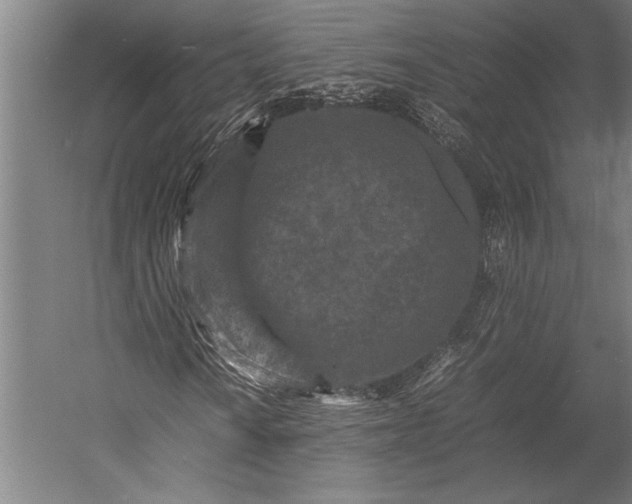 X0000053011010200507221307