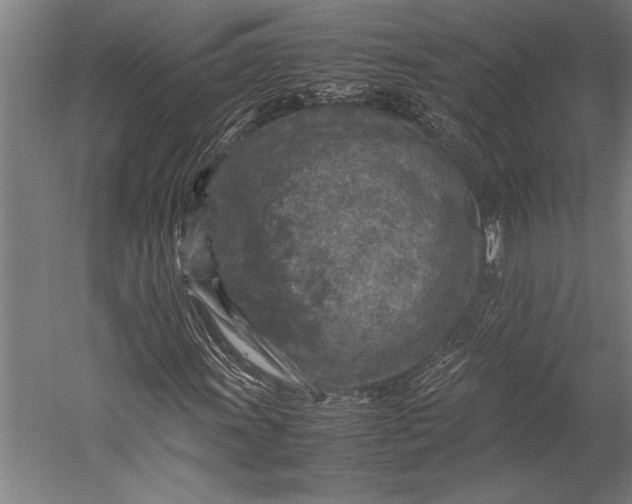 X0000053011011200507221307