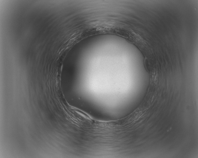 X0000053011012200507221307