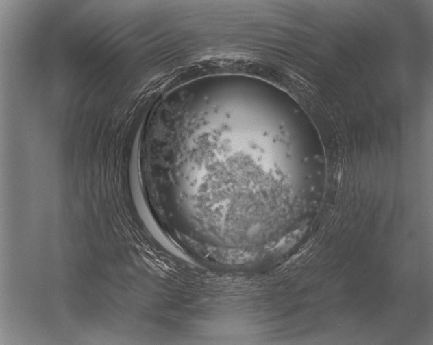 X0000053011014200507221307