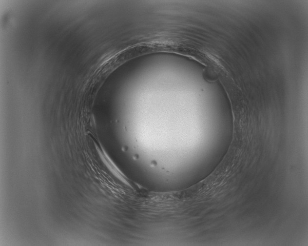 X0000053011015200507221307