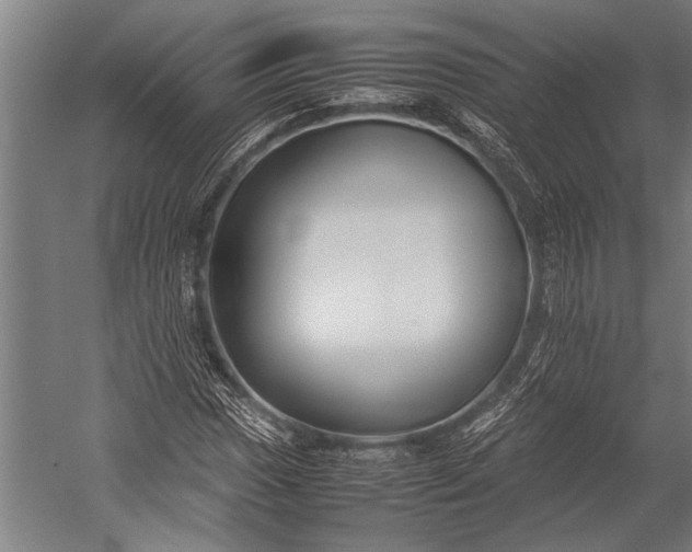 X0000053011017200507221307