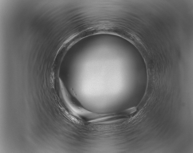 X0000053011018200507221307