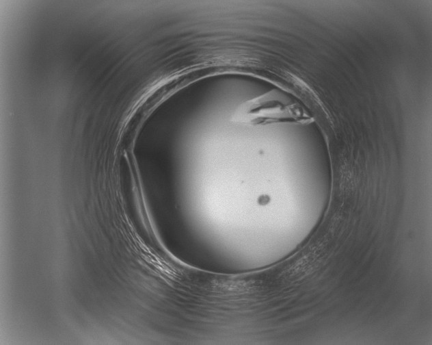 X0000053011019200507221307