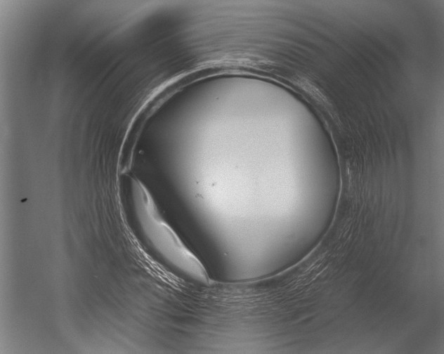 X0000053011020200507221308