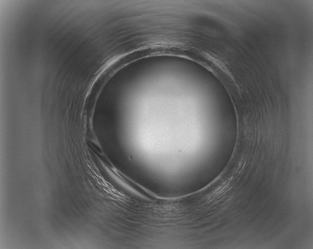 X0000053011021200507221308