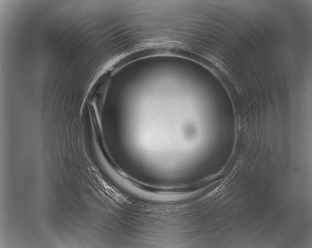 X0000053011022200507221308