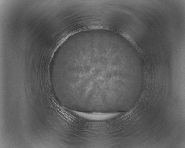 X0000053011023200507221308